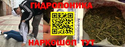 ГАЛЛЮЦИНОГЕННЫЕ ГРИБЫ Камышлов