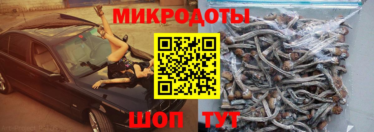 Псилоцибиновые грибы мухоморы  Вход с VPN  Гурьевск 